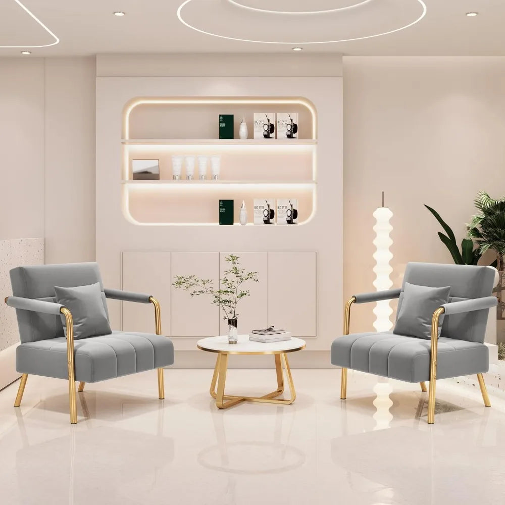 30" W Accent Chair Velvet Oversized Armchair Living Room Chair with Golden Frame & Cozy Pillow for Living Room, Light Gray