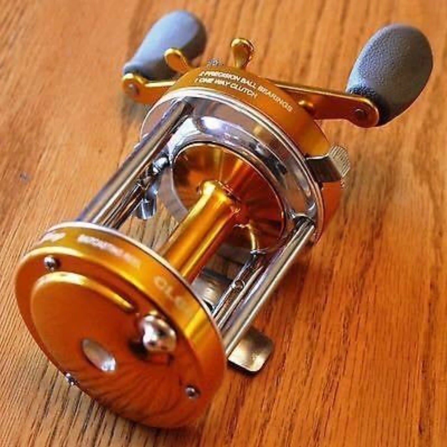 Gold CL60 Baitcast Fishing Reel Muskie Catfish & Saltwater