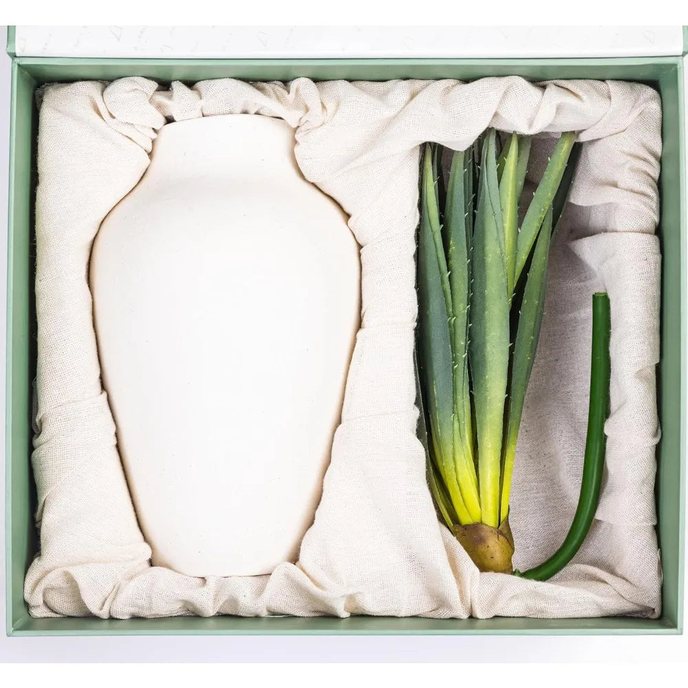 Vase and Succulents White Textured Ceramic Vase 10.5 Inch with Aloe Plant 19 Inch for Centerpieces Home Decor with Faux Vases