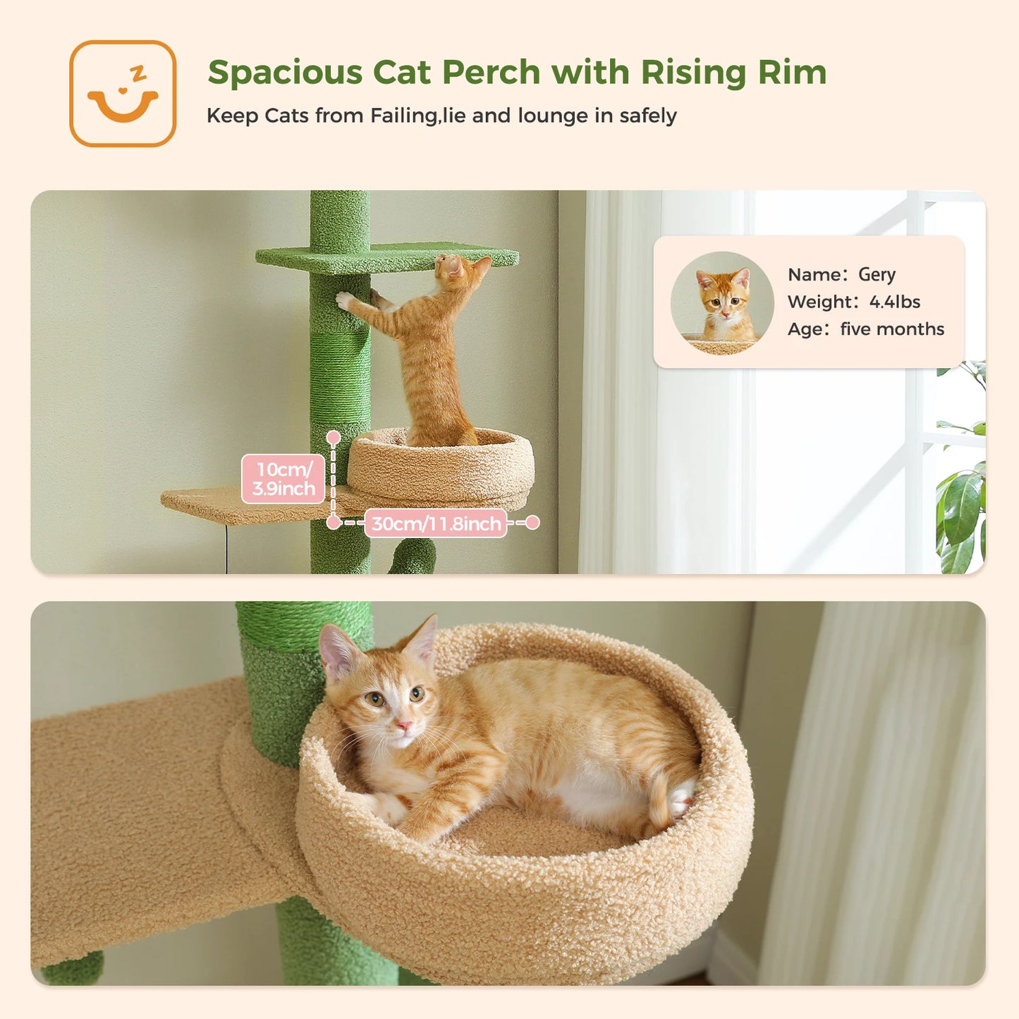 Adjustable Height Cactus Cat Tree for Indoor Cats Floor to Ceiling Cat Tower with Scratching Post Cozy Hammock Dangling Balls
